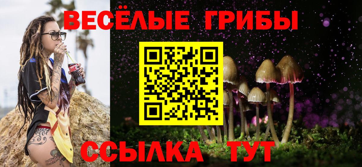 Псилоцибиновые грибы Cubensis Нижневартовск